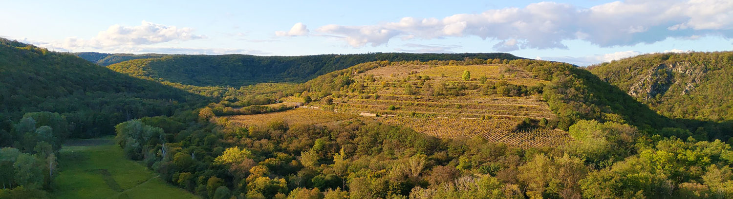Pohodové ubytování Znojmo